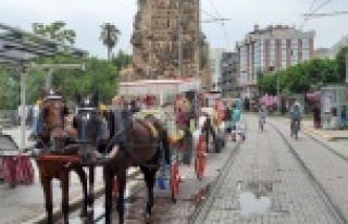 Alanya'da faytonlar yarın tarih oluyor