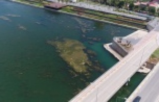 Boğaçayı'nda yosun ve rüsubat temizliği