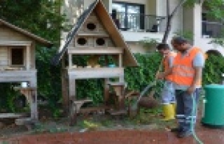 Büyükşehir'den Alanya'da genel temizlik