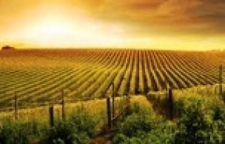 Devlet destekli tarım sigorta bedelleri 2018 yılında...