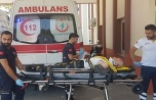 Gündoğmuş'ta erik ağacından düşen yaşlı...