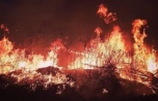 Alanya'da korkutan yangın