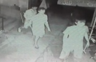 Alanya'da şehir magandaları dehşet saçtı