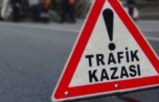 Alanya'da yolun karşına geçmeye çalışan...