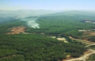 Alanya'daki orman yangını söndürüldü