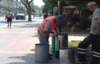 Büyükşehir Alanya'daki çöp kovalarını...