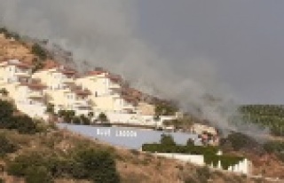 Gazipaşa'da villaların yamacında korkutan...