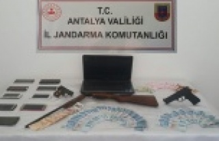 Jandarma suç çetesini çökertti: 9 gözaltı