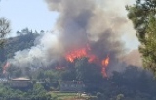 Manavgat'ta orman yangını çıktı