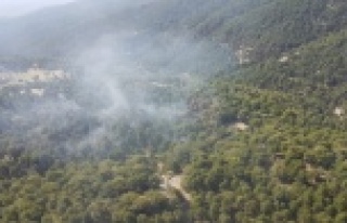 Manavgat'ta orman yangını