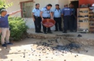 Merdiven altı üretilen bin 180 kilogram midyeye...