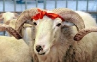 Turizm sektöründen Kurban Bayramı tatili çağrısı