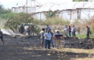 Yangında ölen yavru kaplumbağa çocukların içini...