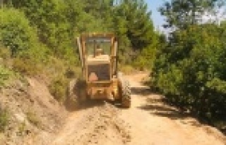 Alanya'da Ahmetöldü ve Çeltek yaylası yoluna...