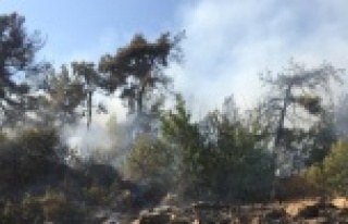 Alanya'da korkutan orman yangını