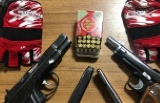 Alanya'da Yunuslardan kaçış yok