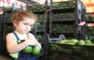 Alanya'dan Ukrayna'ya 3.5 ton avokado
