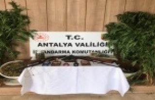 Alanya’da uyuşturucu operasyonu