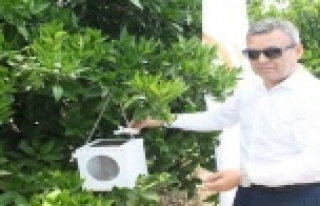 Antalya’da biyolojik mücadele için 8 bin 607 tuzak...