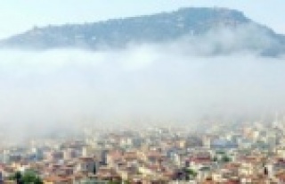 İşte Alanya'yı bunaltan kare!