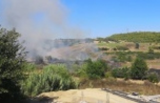 Mangal yaparken yangın çıkardılar