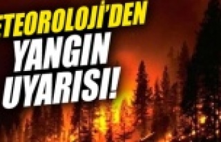 Meteoroloji'den Alanya'da orman yangını...