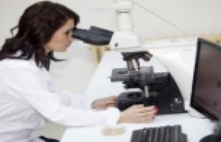 Polenin doğurganlık arttırıcı etkisi