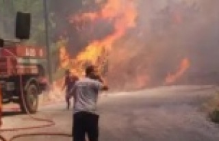Terör örgütü PKK'nın listesinden Gazipaşa...