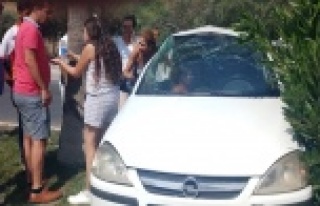 Virajı alamayan sürücü palmiye ağacına çarpıp...