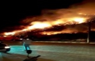 Xanthos Antik Kentini tehdit eden yangın söndürüldü