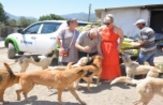 Yerleşik Ruslardan hayvan barınağına mama desteği