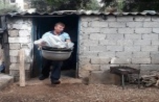 1.5 tonluk midye operasyonu