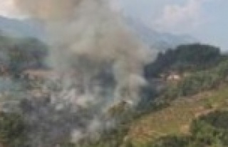 Akciğerlerimiz cayır cayır yanıyor