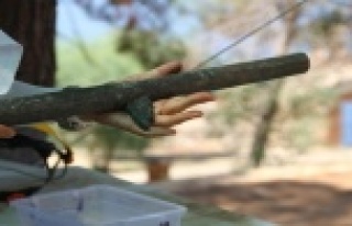 Alanya Kalesinde 16. yüzyıla ait Osmanlı tüfekleri...