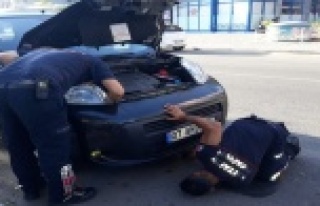 Alanya’da itfaiyeden 2 saatlik nefes kesen yavru...