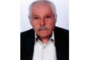 Ceviz toplamak için çıktığı ağaçtan düşen...