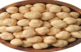 Fındık yaraları da iyileştiriyor