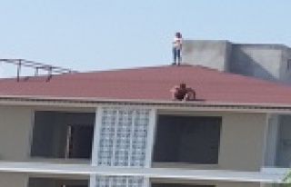 Jandarmadan kaçan şahıs çatıya çıktı