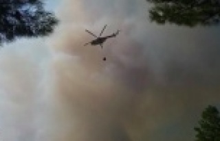 Kaş'taki orman yangını kontrol altına alınmaya...