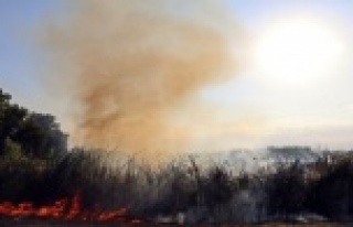 Seraları tehdit eden sazlık yangını korkuttu