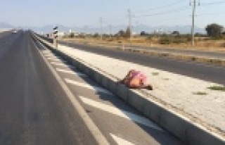 Yolda sızıp kalan kadını sağlık ekipleri uyandırdı