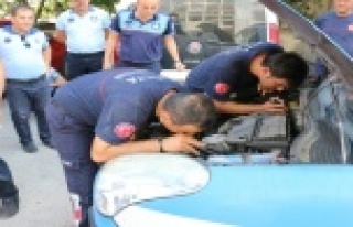 Zabıta aracındaki yavru kedi için itfaiye seferber...