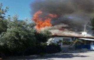 30 yıllık birikimini 7 dakikada kaybetti