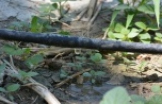 464 bin 739 dekar tarım arazisi sulandı