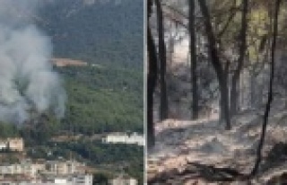 Alanya'nın akciğerleri yandı