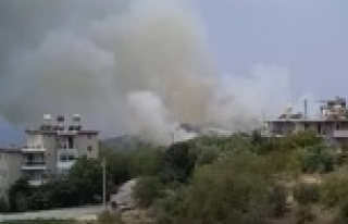 Alanya’da korkutan yangın