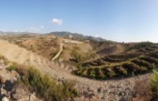 Alanyalıları fidan dikmeye davet etti