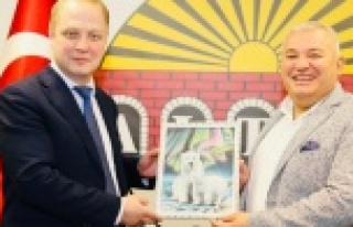 ALTSO'ya Rus partner