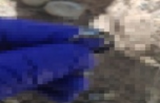 Belden yukarısı bulunmayan kadın cesedinin kimliği...