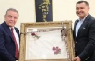 Böcek, Yücel ve Alanya'nın isteğiyle ilgili...